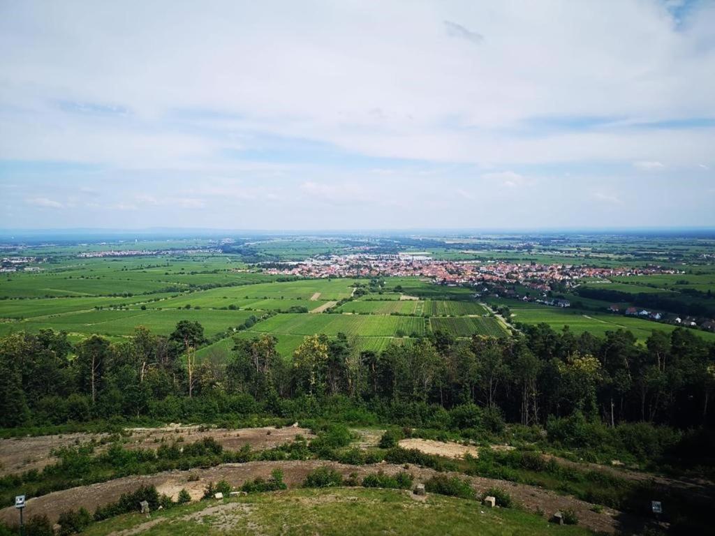 Wohnen Im Herzen Der Pfalz Neustadt an der Weinstrasse Exterior photo